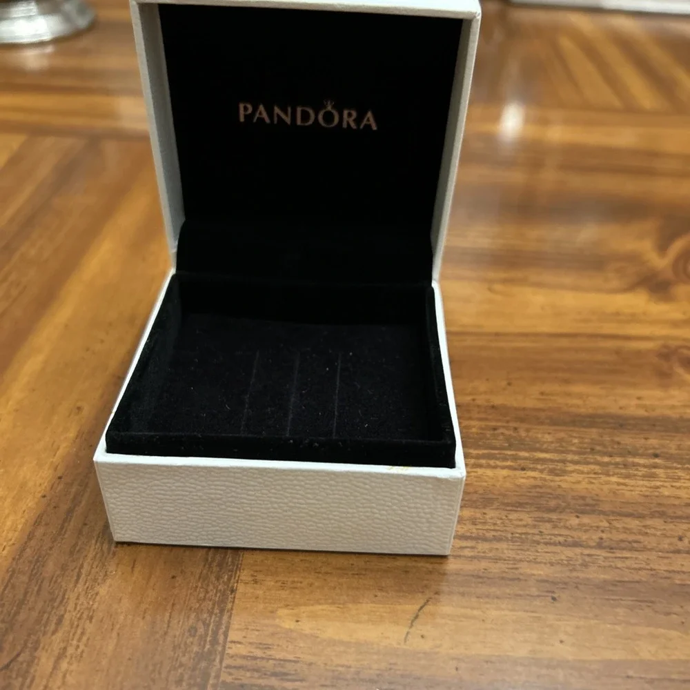 Pandora could be